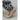Gaspar Express Colorado Poplin Bukser Black
