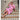 Gaspar Express Tunø Print Dress Kjole Pink