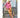 Gaspar Express Vigo Broderi Anglaise Skjorte Rose pepper